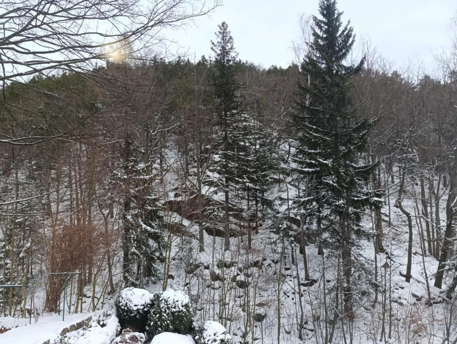 Karkoz Karpacz Bed & Breakfast Bagian luar foto